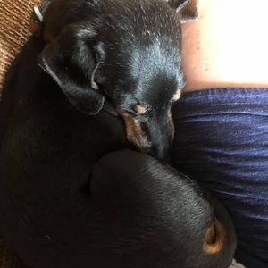 Meet your Posher, Becky